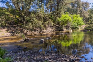 Rural / Farming commercial property for sale at 4194 Twelve Mile Road Gulgong NSW 2852 Rural / Farming commercial property for sale at 4194 Twelve Mile Road Gulgong NSW 2852