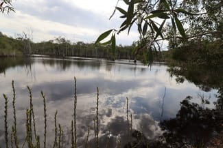 Rural / Farming commercial property for sale at 107 Petersens Road Yandaran QLD 4673