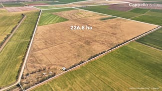Rural / Farming commercial property for sale at 128 Chittick Road Warrawidgee NSW 2680