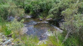 Rural / Farming commercial property for sale at 1325 Connolly Dam Road Silverwood QLD 4370 Rural / Farming commercial property for sale at 1325 Connolly Dam Road Silverwood QLD 4370