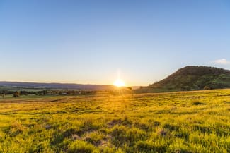 Rural / Farming commercial property for sale at 229 Melrose Road Mudgee NSW 2850 Rural / Farming commercial property for sale at 229 Melrose Road Mudgee NSW 2850