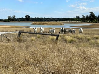 Rural / Farming commercial property sold at "Sedgwick" Chinchilla - Tara Road Tara QLD 4421