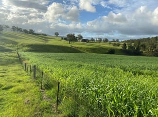 Rural / Farming commercial property for sale at 800 Toms Gully Rd Hickeys Creek NSW 2440 Rural / Farming commercial property for sale at 800 Toms Gully Rd Hickeys Creek NSW 2440