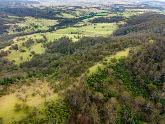 Rural / Farming commercial property for sale at Candelo NSW 2550 Rural / Farming commercial property for sale at Candelo NSW 2550