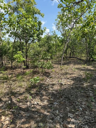 Rural / Farming commercial property sold at 133 Stephen Road Marrakai NT 0822