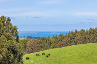Rural / Farming commercial property for sale at 201 Old Cottontree Road Flinders VIC 3929 Rural / Farming commercial property for sale at 201 Old Cottontree Road Flinders VIC 3929