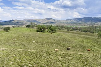 Rural / Farming commercial property sold at Lot 31 Flagstone School Road Flagstone Creek QLD 4344 Rural / Farming commercial property sold at Lot 31 Flagstone School Road Flagstone Creek QLD 4344