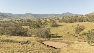 Rural / Farming commercial property sold at 'East Toombimba' Kars Springs via Scone NSW 2337 Rural / Farming commercial property sold at 'East Toombimba' Kars Springs via Scone NSW 2337