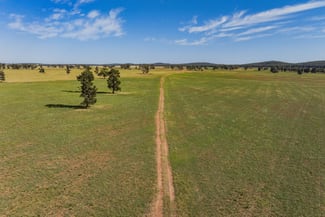 Rural / Farming commercial property for sale at 3356 Mid Western Highway North Yalgogrin NSW 2671 Rural / Farming commercial property for sale at 3356 Mid Western Highway North Yalgogrin NSW 2671