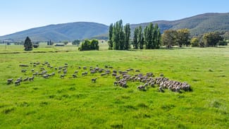 Rural / Farming commercial property sold at 60 Darmodys Road Leneva VIC 3691