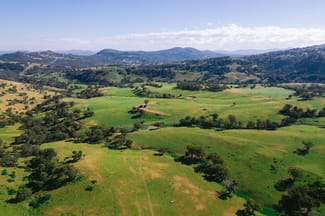 Rural / Farming commercial property sold at 7390 New England Hwy Willow Tree NSW 2339