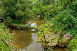 Rural / Farming commercial property sold at 18 Ryans Road Bonalbo NSW 2469 Rural / Farming commercial property sold at 18 Ryans Road Bonalbo NSW 2469
