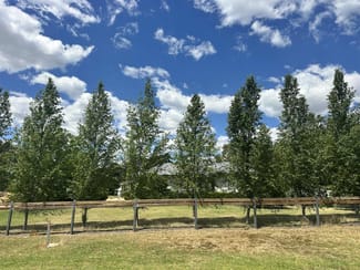 Rural / Farming commercial property sold at 281 Spring Flat Road Mudgee NSW 2850 Rural / Farming commercial property sold at 281 Spring Flat Road Mudgee NSW 2850
