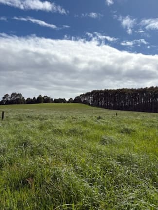 Rural / Farming commercial property for sale at 226 Hursts Road Lileah TAS 7330 Rural / Farming commercial property for sale at 226 Hursts Road Lileah TAS 7330