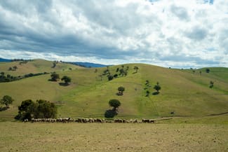 Rural / Farming commercial property for sale at 6 Scott Road Ensay VIC 3895 Rural / Farming commercial property for sale at 6 Scott Road Ensay VIC 3895