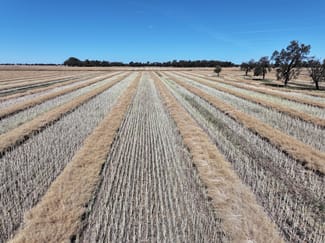 Rural / Farming commercial property for sale at 819 Mayrung Road Deniliquin NSW 2710