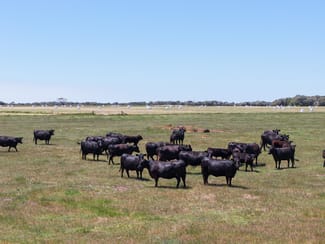 Rural / Farming commercial property for sale at Lot 1 Coostien Road Scott River WA 6288 Rural / Farming commercial property for sale at Lot 1 Coostien Road Scott River WA 6288