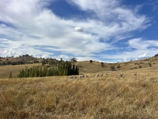 Rural / Farming commercial property sold at Lot 1 Mount Mcdonald Road Wyangala NSW 2808 Rural / Farming commercial property sold at Lot 1 Mount Mcdonald Road Wyangala NSW 2808