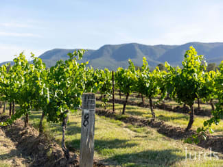 Rural / Farming commercial property for sale at 2/DP707940 Hermitage Road Pokolbin NSW 2320