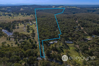 Rural / Farming commercial property sold at 650 Sandy Creek Road Quorrobolong NSW 2325