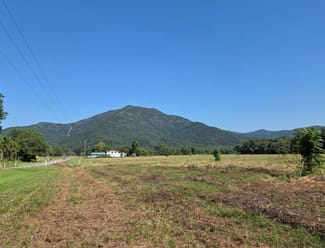Rural / Farming commercial property sold at 20/ Mount Gardiner Road Bemerside QLD 4850 Rural / Farming commercial property sold at 20/ Mount Gardiner Road Bemerside QLD 4850