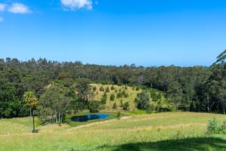 Rural / Farming commercial property for sale at 106C Porters Creek Road Yatte Yattah NSW 2539