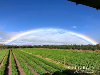 Rural / Farming commercial property for sale at 1611 Mareeba-Dimbulah Arriga QLD 4880 Rural / Farming commercial property for sale at 1611 Mareeba-Dimbulah Arriga QLD 4880