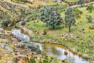 Rural / Farming commercial property for sale at 1479 Grassy Creek Road Rugby NSW 2583 Rural / Farming commercial property for sale at 1479 Grassy Creek Road Rugby NSW 2583