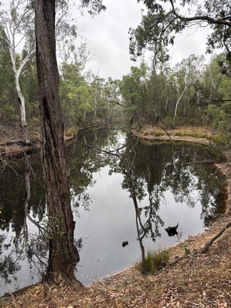 Rural / Farming commercial property sold at 250 Round Mountain Rd Burra Burri QLD 4410