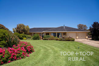 Rural / Farming commercial property for sale at 4457 Hunter Road Nildottie SA 5238 Rural / Farming commercial property for sale at 4457 Hunter Road Nildottie SA 5238