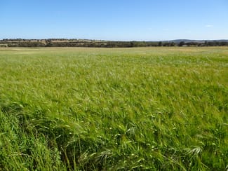 Rural / Farming commercial property sold at Lot 51 & 1 Boyagarra Road Brookton WA 6306 Rural / Farming commercial property sold at Lot 51 & 1 Boyagarra Road Brookton WA 6306