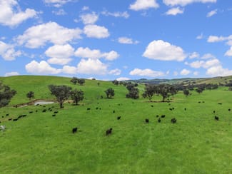 Rural / Farming commercial property sold at 'horse Gully' Old Waugoola Road Woodstock NSW 2793 Rural / Farming commercial property sold at 'horse Gully' Old Waugoola Road Woodstock NSW 2793