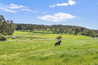 Rural / Farming commercial property for sale at 356 Shands Road Main Ridge VIC 3928 Rural / Farming commercial property for sale at 356 Shands Road Main Ridge VIC 3928