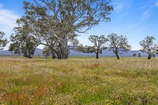 Rural / Farming commercial property for sale at 46A & 46B Andrews Lane Willaura North VIC 3379