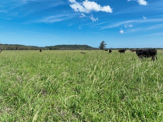 Rural / Farming commercial property sold at 50 Tuckean Island Road Marom Creek NSW 2480 Rural / Farming commercial property sold at 50 Tuckean Island Road Marom Creek NSW 2480