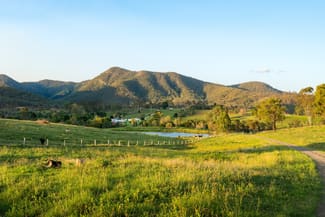 Rural / Farming commercial property sold at 45 North Branch Road Mount Perry QLD 4671