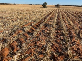 Rural / Farming commercial property for sale at 4049 Mallee Highway Manangatang VIC 3546 Rural / Farming commercial property for sale at 4049 Mallee Highway Manangatang VIC 3546