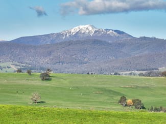 Rural / Farming commercial property sold at Lot 1, 214 Hearns Road Boorolite VIC 3723