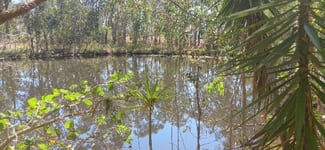 Rural / Farming commercial property for sale at 1/ Top End Mines Road Torbanlea QLD 4662 Rural / Farming commercial property for sale at 1/ Top End Mines Road Torbanlea QLD 4662