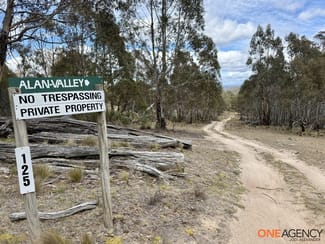 Rural / Farming commercial property for sale at Lots 73 & 78 / 125 Fistys Lane Jerangle NSW 2630