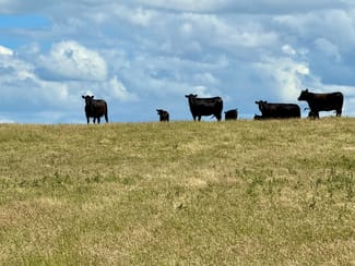 Rural / Farming commercial property sold at Foxhow Road Foxhow VIC 3323 Rural / Farming commercial property sold at Foxhow Road Foxhow VIC 3323