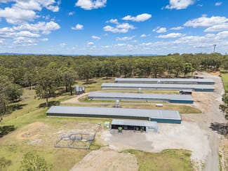 Rural / Farming commercial property sold at 667 Seaham Road Nelsons Plains NSW 2324