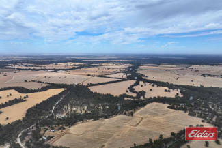 Rural / Farming commercial property sold at 1971 Stewarts Bridge Road Echuca VIC 3564 Rural / Farming commercial property sold at 1971 Stewarts Bridge Road Echuca VIC 3564