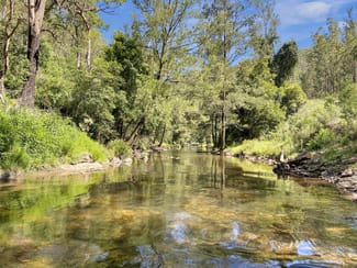 Rural / Farming commercial property sold at 1060 Eaglehawk Trail Yarrowitch NSW 2354 Rural / Farming commercial property sold at 1060 Eaglehawk Trail Yarrowitch NSW 2354