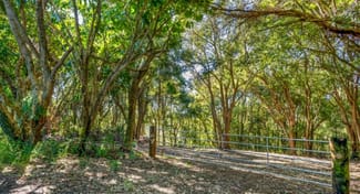 Rural / Farming commercial property for sale at 70 North Teven Road Teven NSW 2478