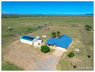 Rural / Farming commercial property sold at 416 Mckenzie Road Alton Downs QLD 4702