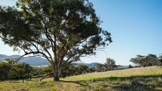 Rural / Farming commercial property sold at 701 Yarragal Road Yarragal NSW 2820 Rural / Farming commercial property sold at 701 Yarragal Road Yarragal NSW 2820