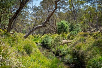 Rural / Farming commercial property sold at Lot 101 Lucks Lane Lerida Via Gunning NSW 2581