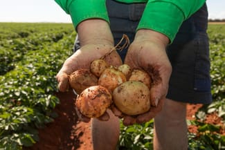 Rural / Farming commercial property for sale at 12766 Kidman Way Hillston NSW 2675