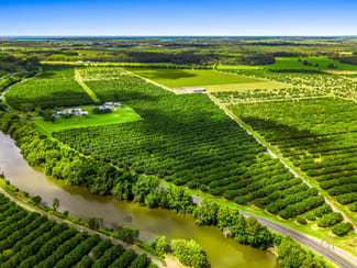 Rural / Farming commercial property for sale at 389 Teven Road Teven NSW 2478 Rural / Farming commercial property for sale at 389 Teven Road Teven NSW 2478